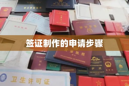 佳木斯签证制作的申请步骤