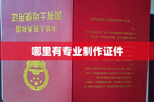 佳木斯哪里有专业制作证件